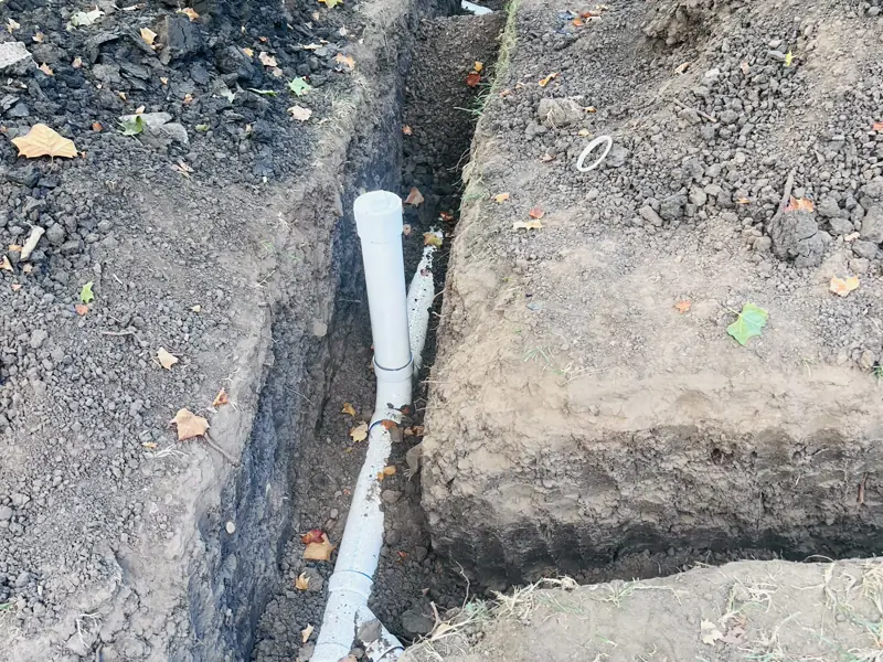 Three days in one back yard — 10 of 15