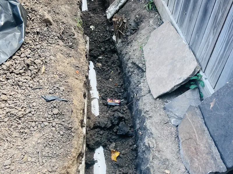 Three days in one back yard — 9 of 15