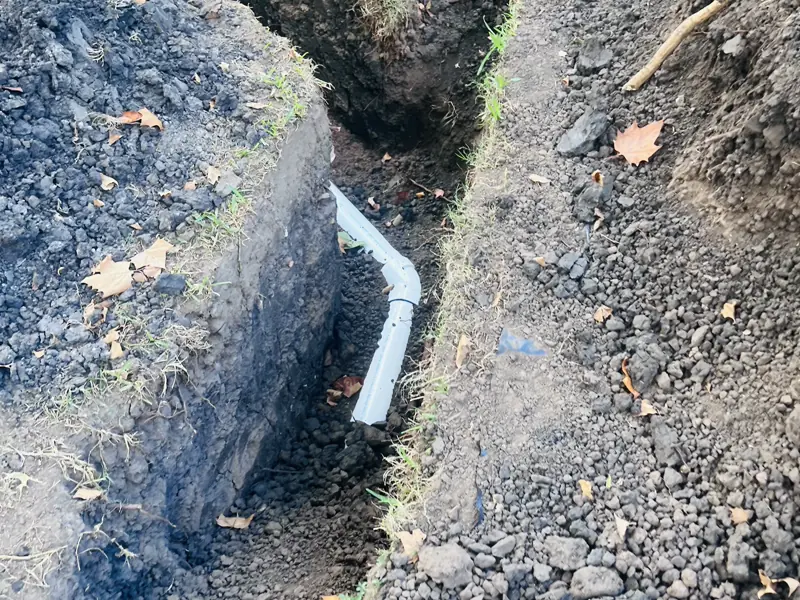 Three days in one back yard — 6 of 15