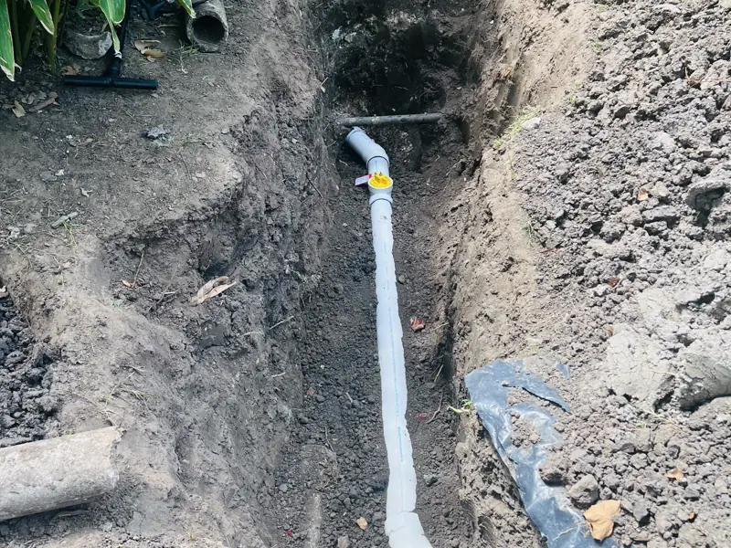Three days in one back yard — 13 of 15