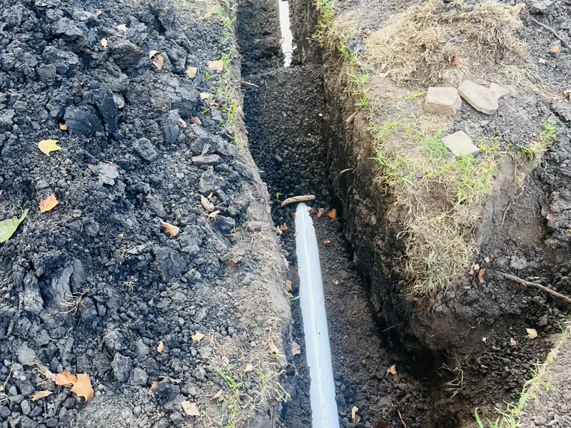 Three days in one back yard — 5 of 15