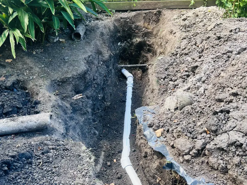 Three days in one back yard — 11 of 15