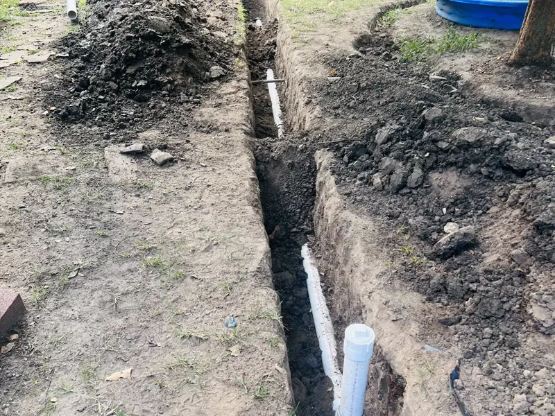 Three days in one back yard