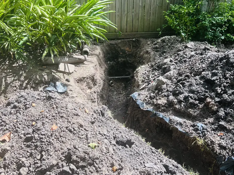 Three days in one back yard — 3 of 15