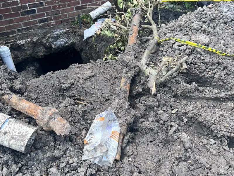 The root that found the joint