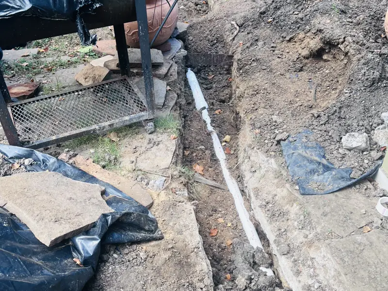 Three days in one back yard — 8 of 15