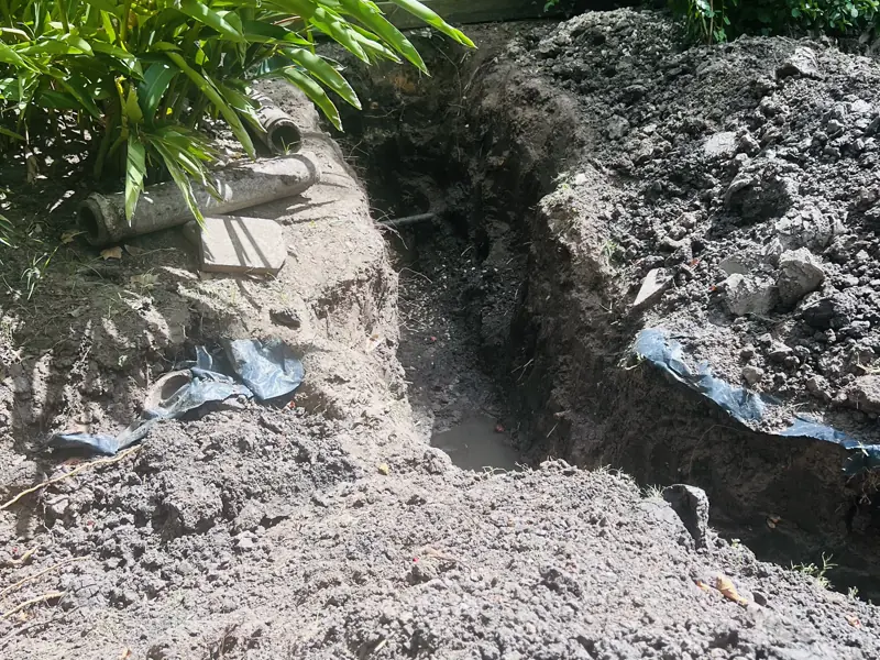 Three days in one back yard — 4 of 15